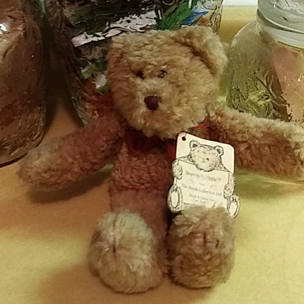 Boyds collectable bear Kip.  Collectable!